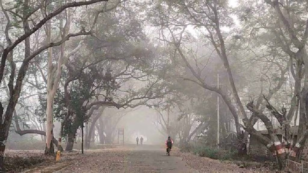 माथेरानपेक्षा बदलापूर थंड, ठाणे जिल्हा गारठला