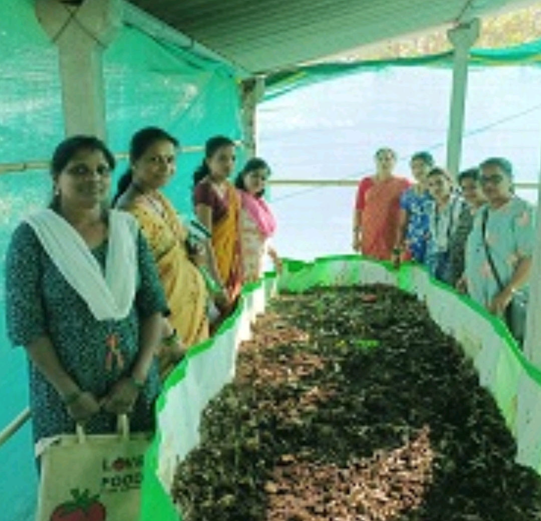 पालघरच्या वनीता उराडे यांची नर्सरी व्यवसायातील गगनभरारी