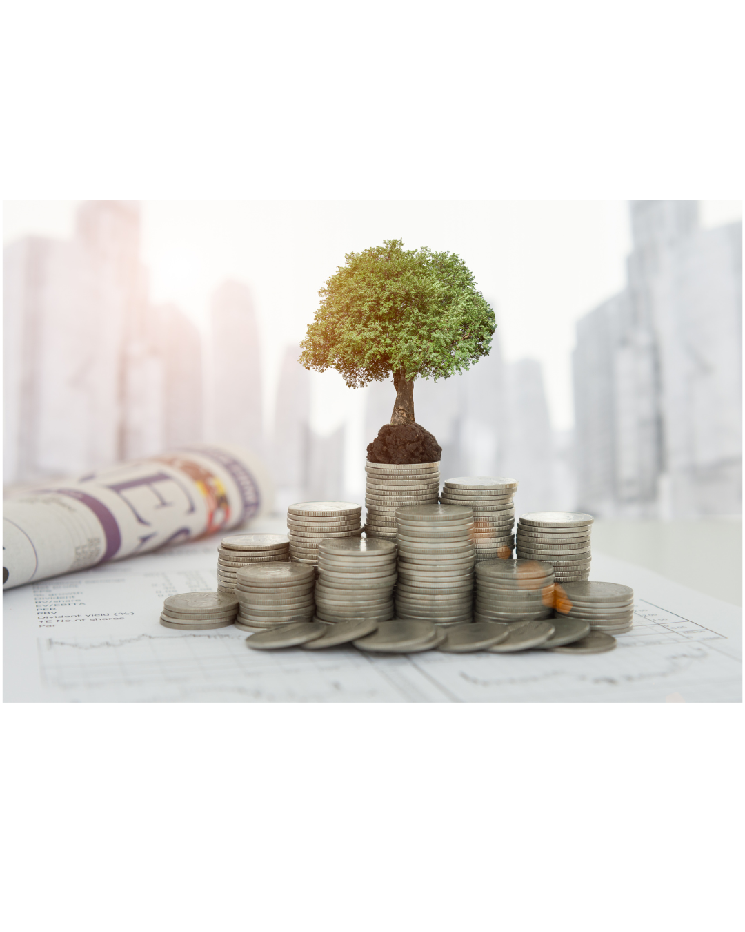 Beyond Mutual Funds: Understanding the Rise of SIF (Specialised Investment Funds)