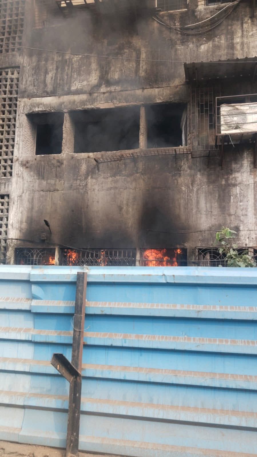 एपीएमसीमधील फळ मार्केट निर्यात इमारतीत आग