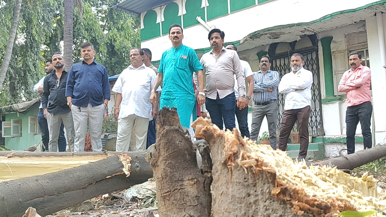 ठाण्यातील प्रख्यात नुरी बाबा दर्गा परिसरात अवैध वृक्षतोड