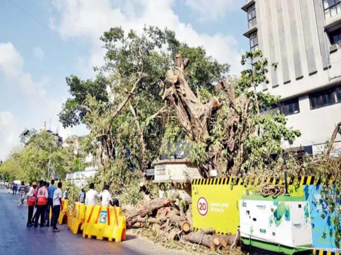 अंतर्गत मेट्रोच्या आड येणाऱ्या तीन हजार वृक्षांवर पडणार कुऱ्हाड