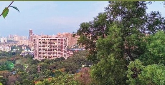 ठाण्याच्या हृदयाची स्पंदने संथ होऊ लागली!