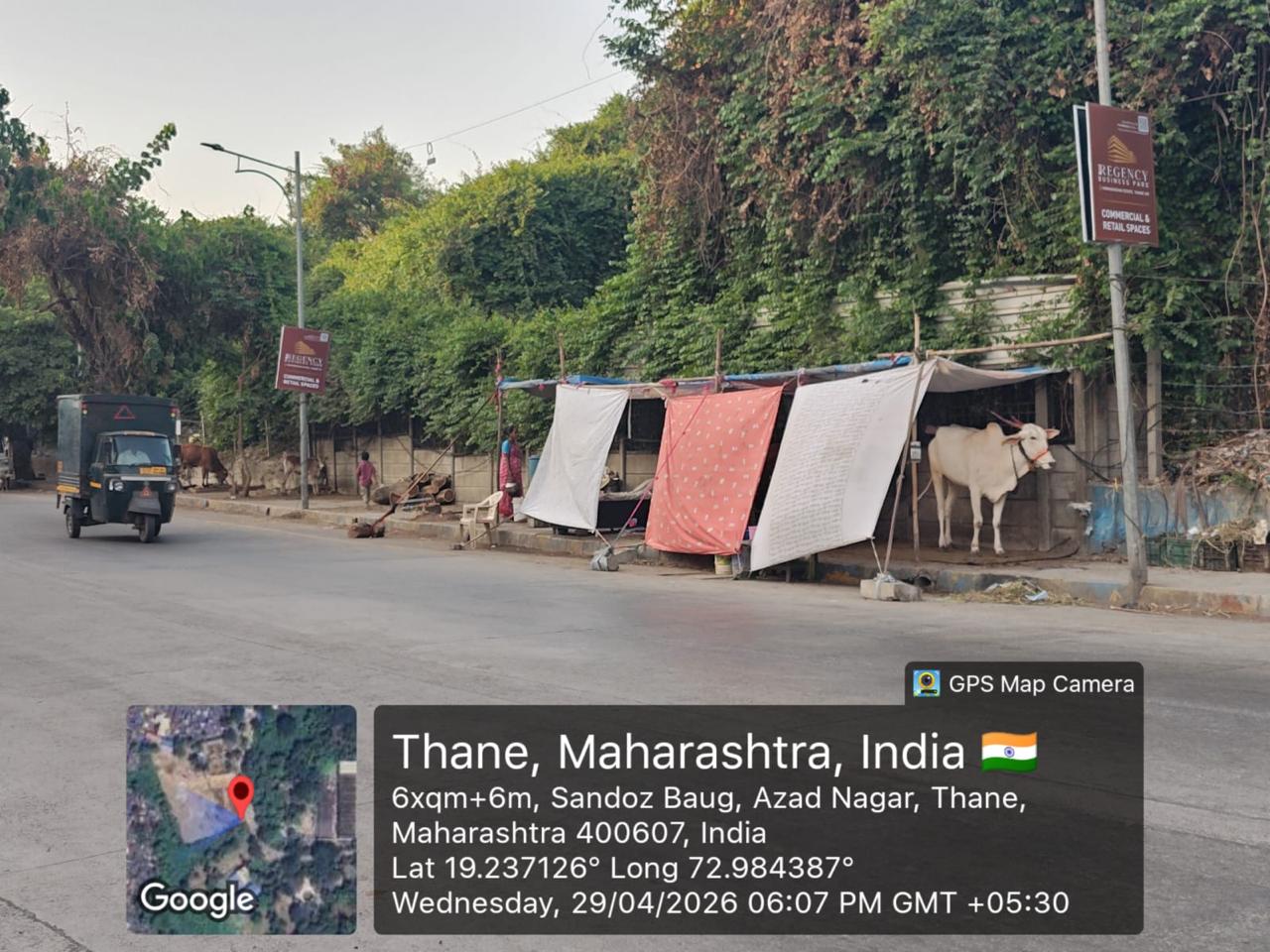 पदपथावरच अनधिकृत गोठा; रस्त्यावरून चालण्याची वेळ