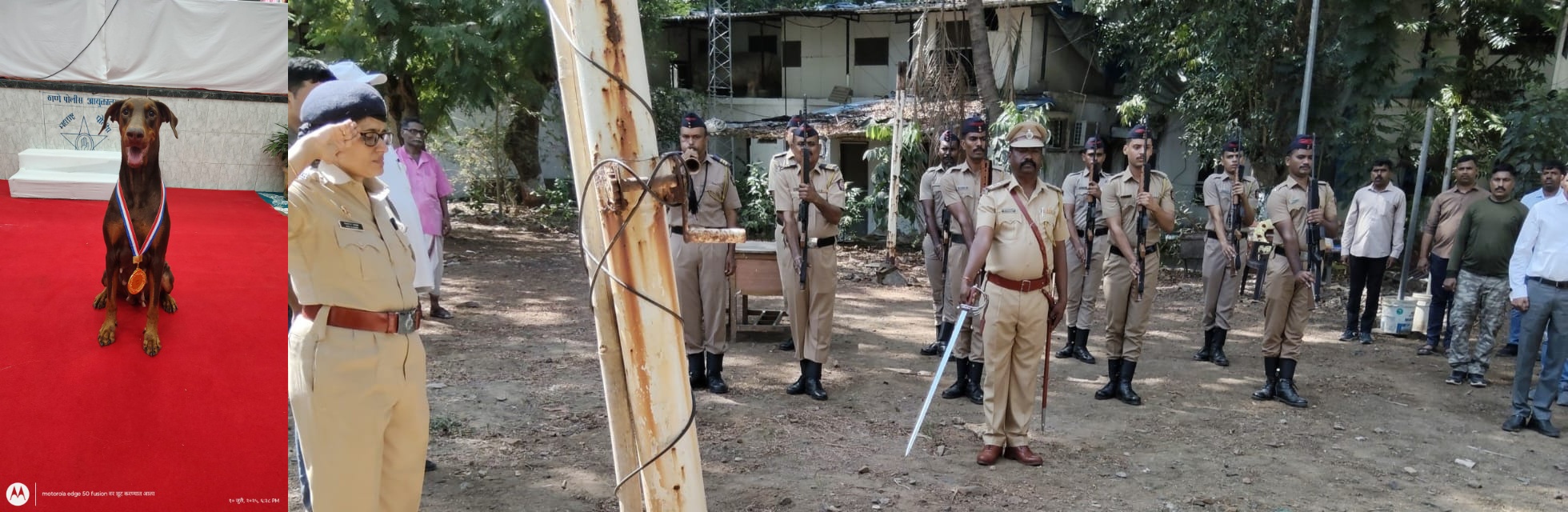 गुन्हेगाराला अचूक टिपणाऱ्या 'बेली'ने घेतला अखेरचा श्वास!