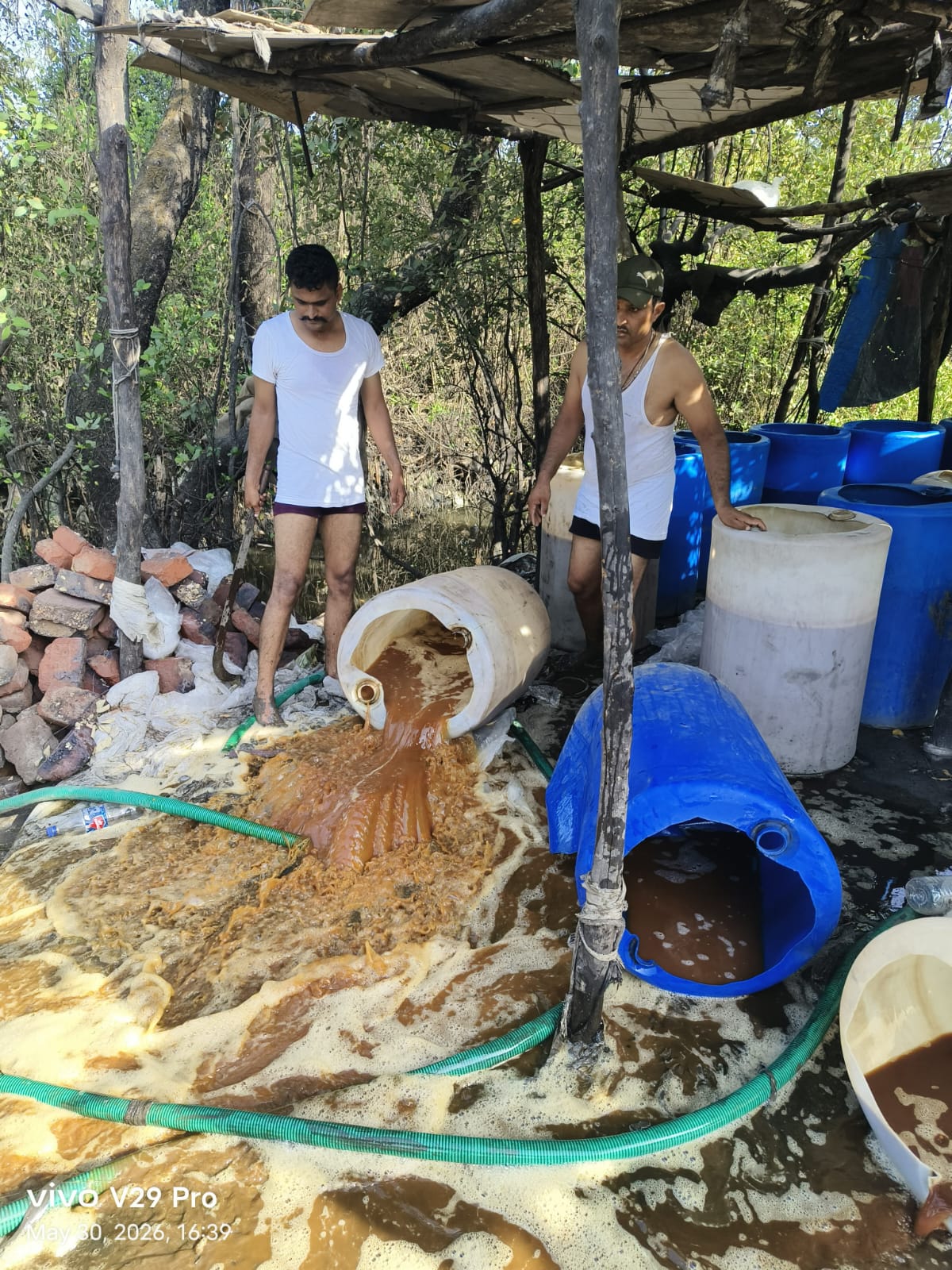 भिवंडीत गावठी दारूच्या उत्पादनावर कारवाई