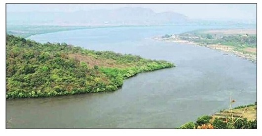 उल्हास नदीच्या काठी डोणे गावात साकारणार जांभूळ संशोधन केंद्र