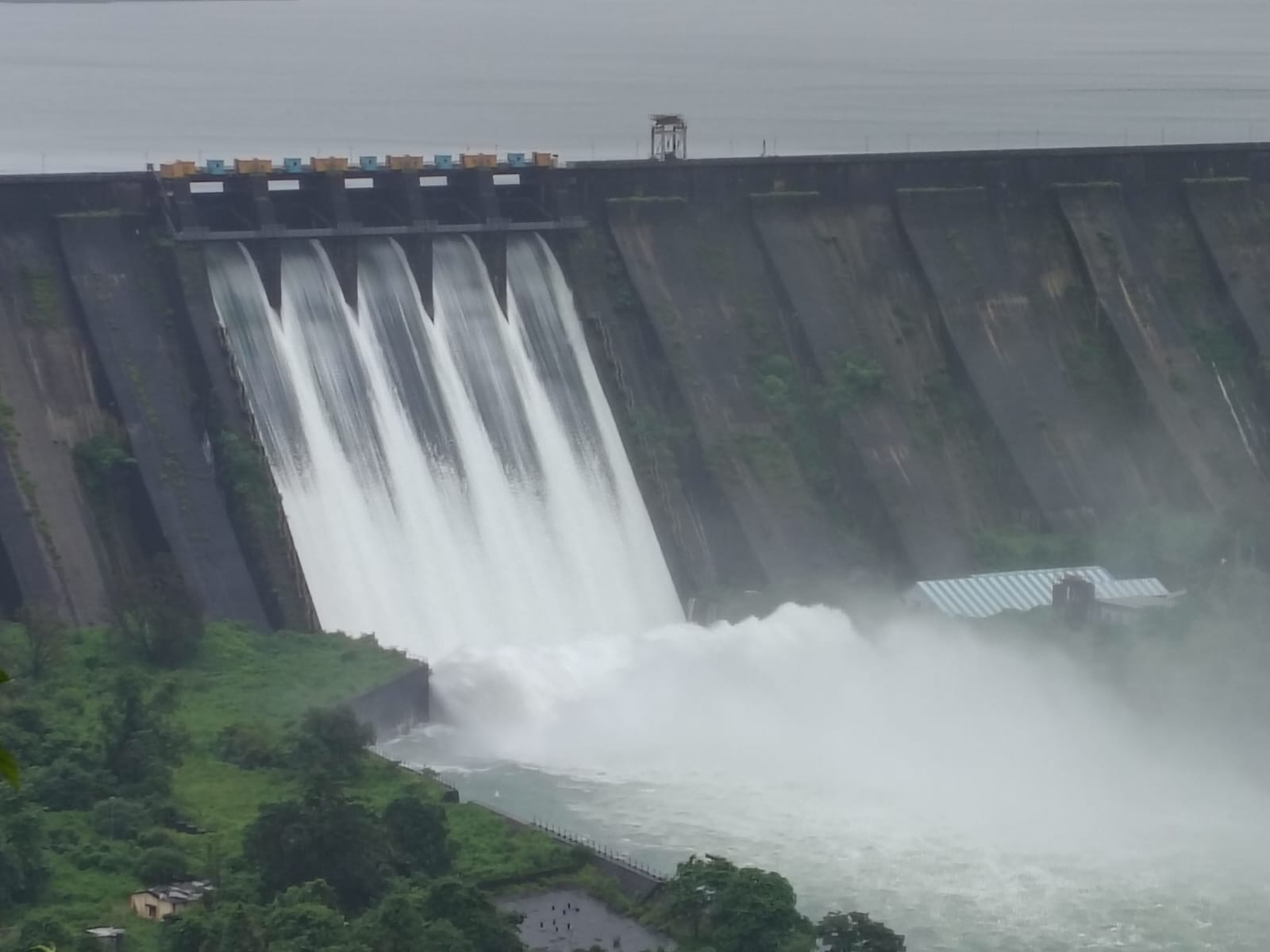 भातसाचे अर्धशतक
