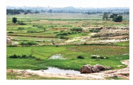 शर्तभंग झाल्यास सरकारी जमिनी ताब्यात घेणार