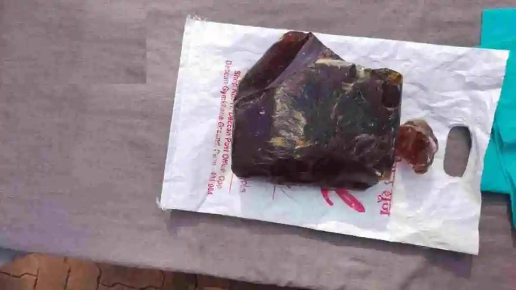 पावणेतीन कोटींची व्हेल माशाची उलटी जप्त